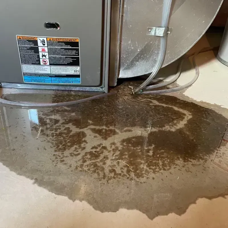 Appliance Leak Cleanup in Batavia, IL